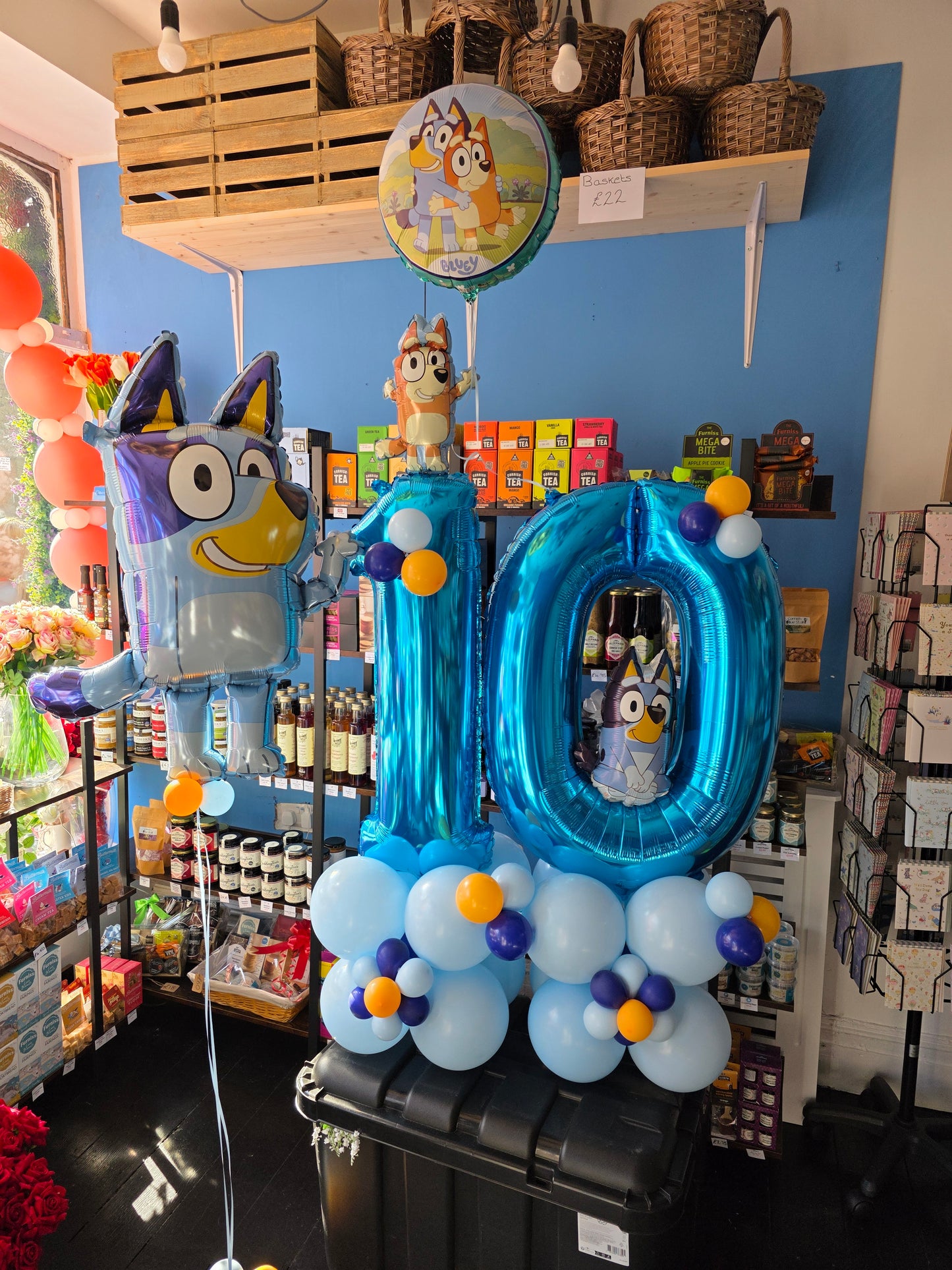 Bluey display