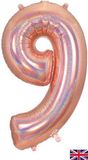 Large Helium Number Balloons