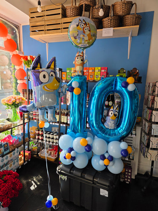 Bluey display